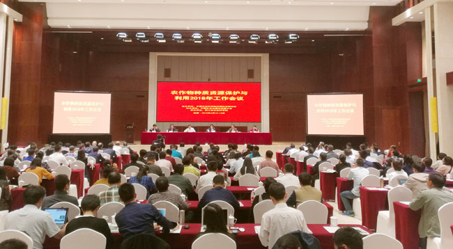 15-会议现场.jpg