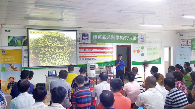 6-图片2.jpg