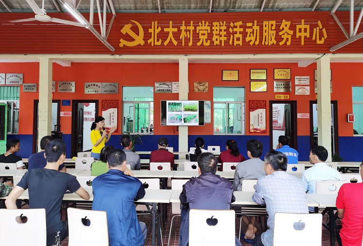 1万宁斑兰叶科技创新与文化利用培训.jpg