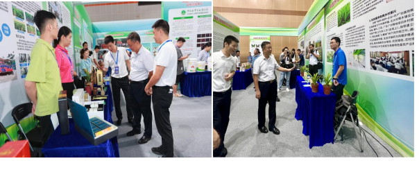 海南省科协技术协会主席史贻云巡视展台.png