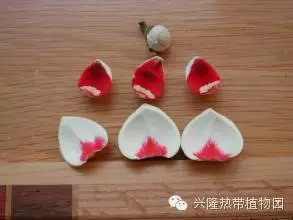 C:UsersADMINI~1AppDataLocalTempksohtml8228wps6.png