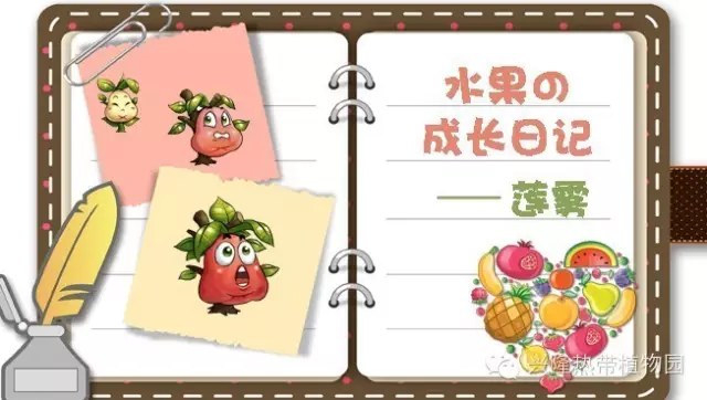 C:UsersADMINI~1AppDataLocalTempksohtml8228wps7.png