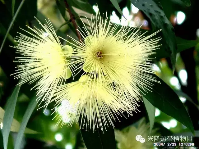 C:UsersADMINI~1AppDataLocalTempksohtml8228wps9.png