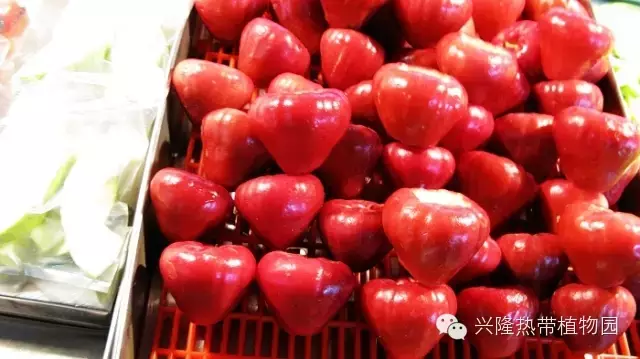 C:UsersADMINI~1AppDataLocalTempksohtml8228wps8.png