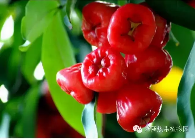 C:UsersADMINI~1AppDataLocalTempksohtml8228wps11.png