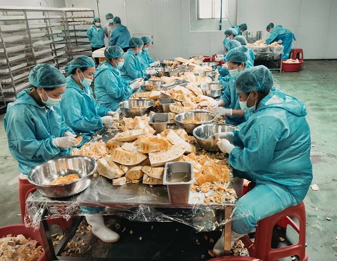 图二 生产现场.jpg